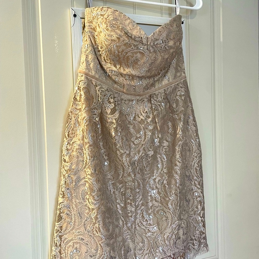 Elegant Lace Strapless Dress